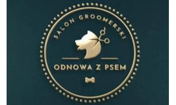 Odnowa z psem