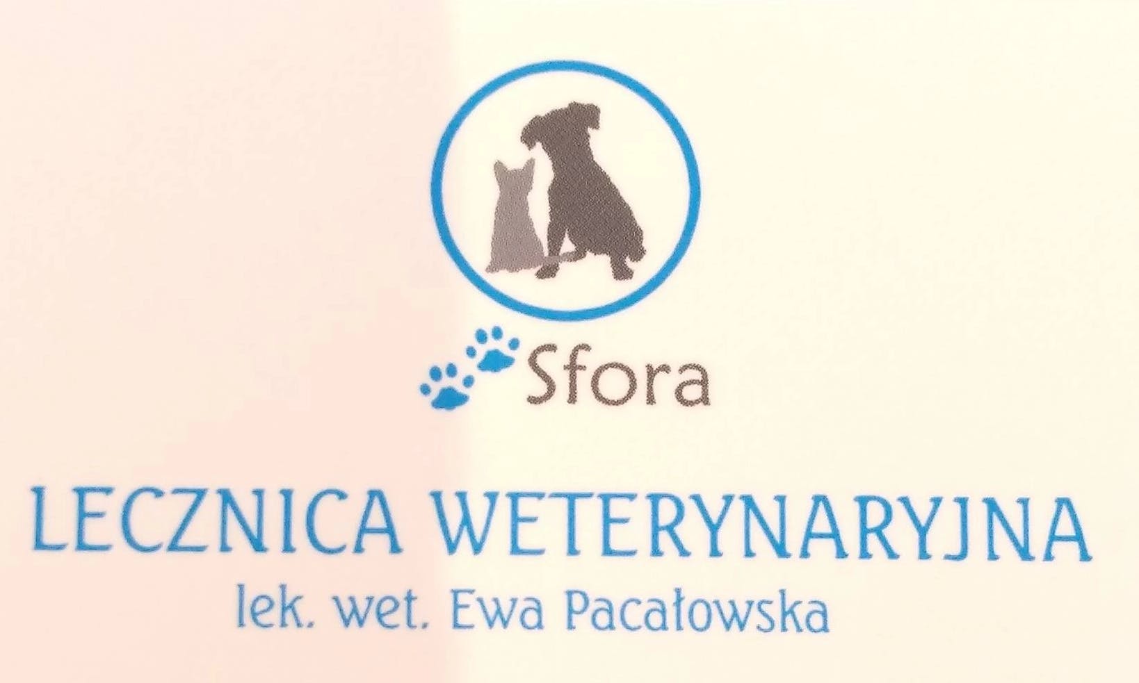 Przychodnia weterynaryjna SFORA Ewa Pacałowska