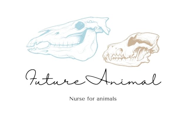 FutureAnimal - rehabilitacja, fizjoterapia zwierząt