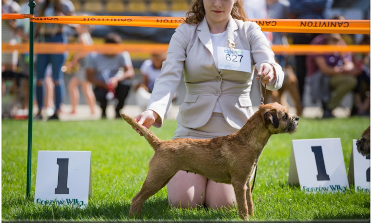 Karolina Remisz Dog Handling