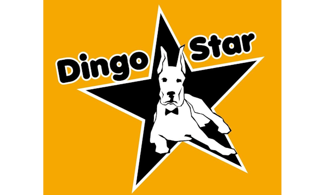 Salon Dingo Star