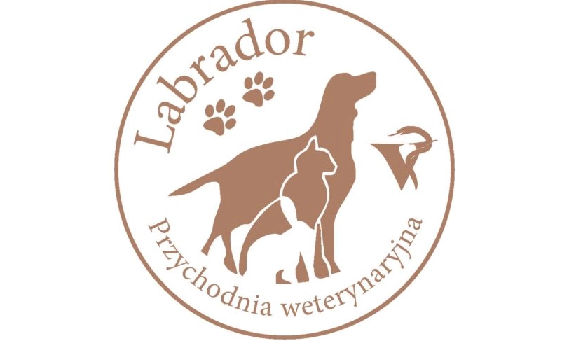 Przychodnia weterynaryjna Labrador