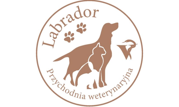 Przychodnia weterynaryjna Labrador