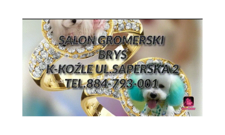 Bryś Salon groomerski