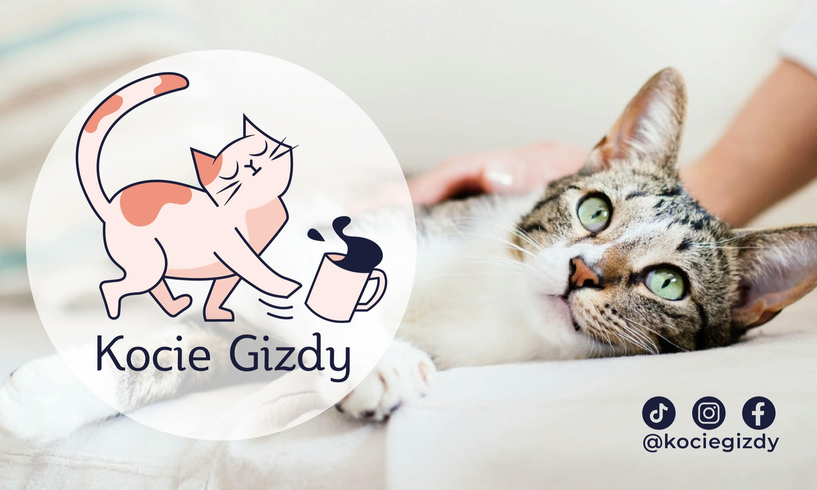 Kocie Gizdy Behawiorysta Koci