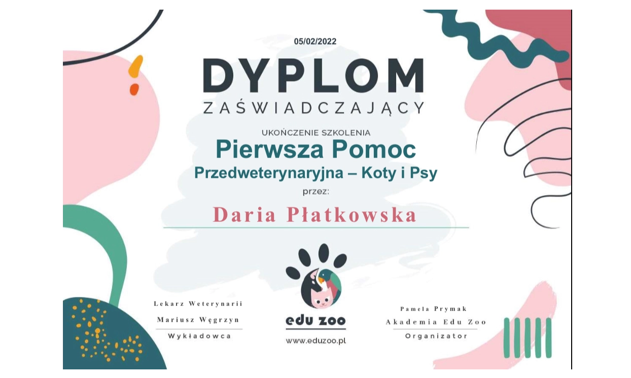 Puchaty Mediator-zoopsycholog  zwierząt domowych Daria Płatkowska