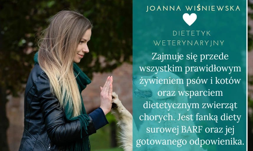 Przychodnia Weterynaryjna U PSYjaciół lek.wet. Martyna Famułka