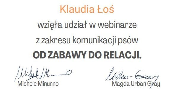 Psiłość