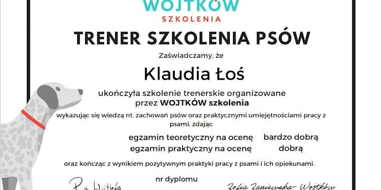 Psiłość