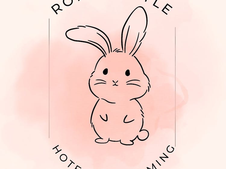 Romuś- Style Bunny Hotel & Grooming 