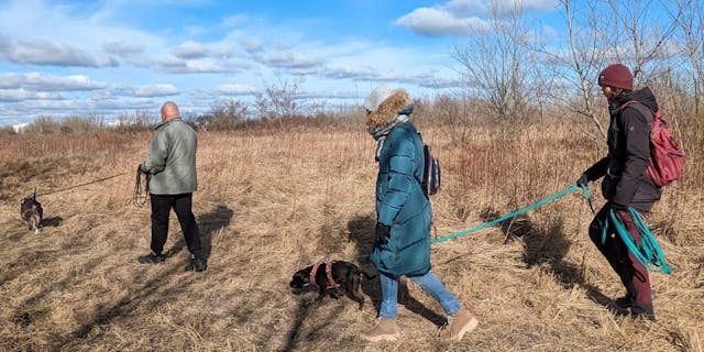 Hau2Dog Justyna Czerwiakowska